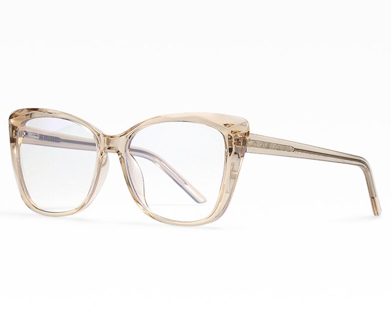 Plastic titanium Anti Blue Computer Glasses