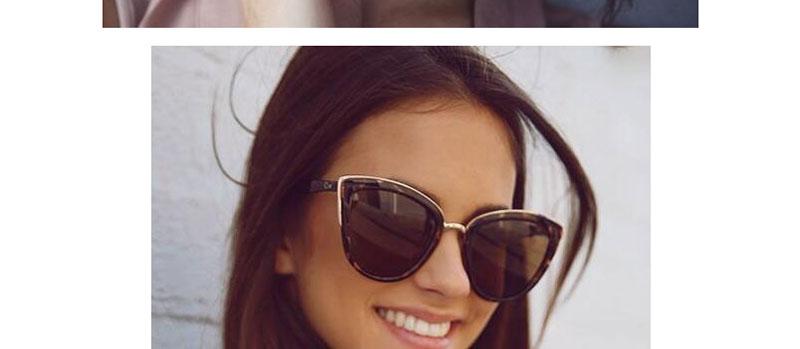 New Oversized Sunglasses