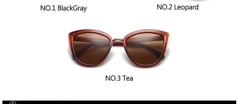 New Oversized Sunglasses