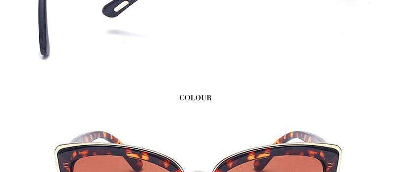 New Oversized Sunglasses
