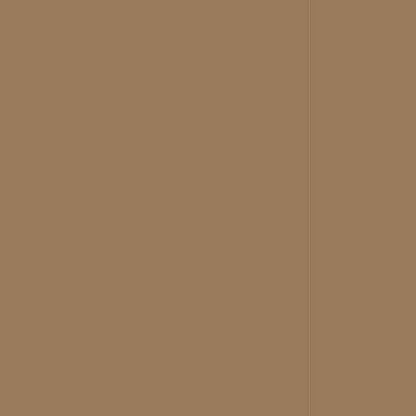 Only Frame Color Tint
