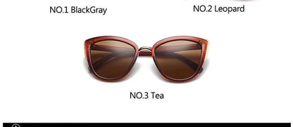 New Oversized Sunglasses